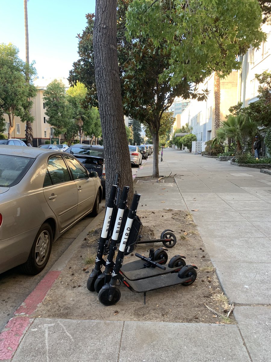 paul_joerger's tweet photo. @BirdRide you have a graveyard in front of my house. https://t.co/hBRPpB30rP