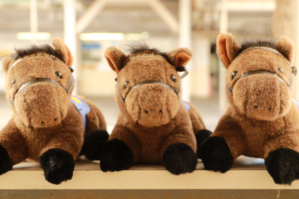 笠松競馬ぬいぐるみ　非売品　レア商品 抽選会はまだまだ開催中！「僕を当ててね☺️」 #笠松競馬 #馬のぬいぐるみ