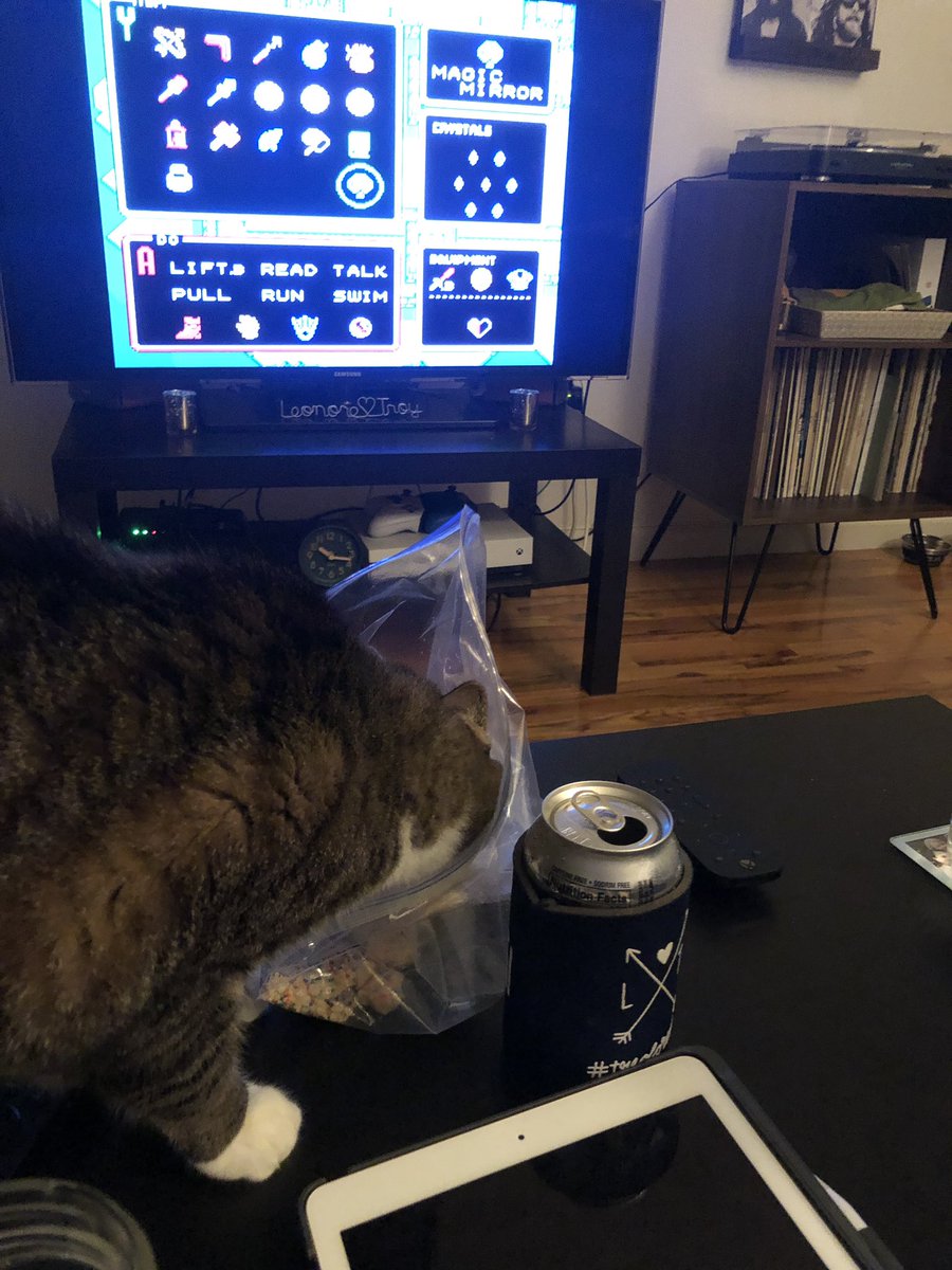 ladyleonore's tweet photo. .@merryhannah brought @Publix sugar cookies back from FL, and they’re so good even Zelda wants some! https://t.co/uZWezZKggw
