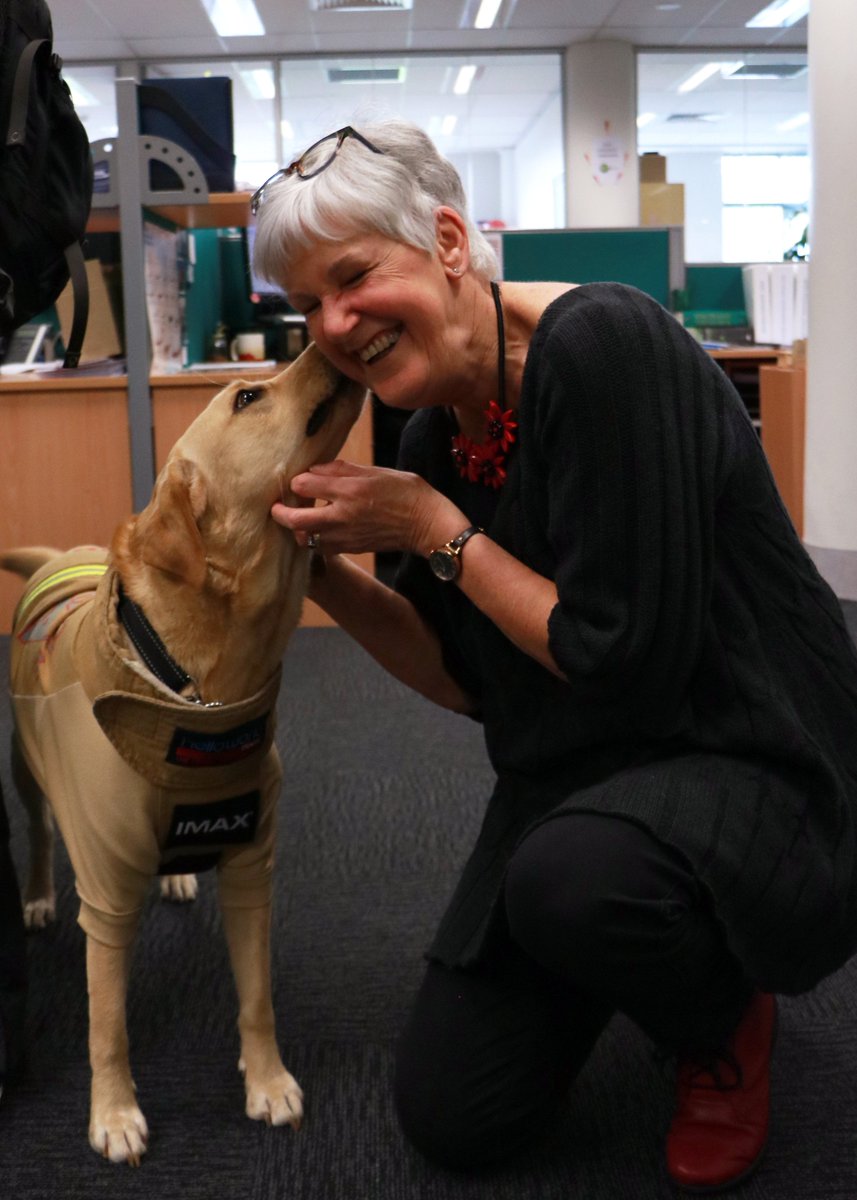 AFAC is proud to support service dog Ember in the 2019 Melb #FirefighterStairClimb

On Sept 7, Ember will join 500 firefighters to climb 28 flights of stairs and raise funds and awareness for the fight against depression, PTSI and suicide.

Donate here: firefighterclimb.org.au/climber/embert…