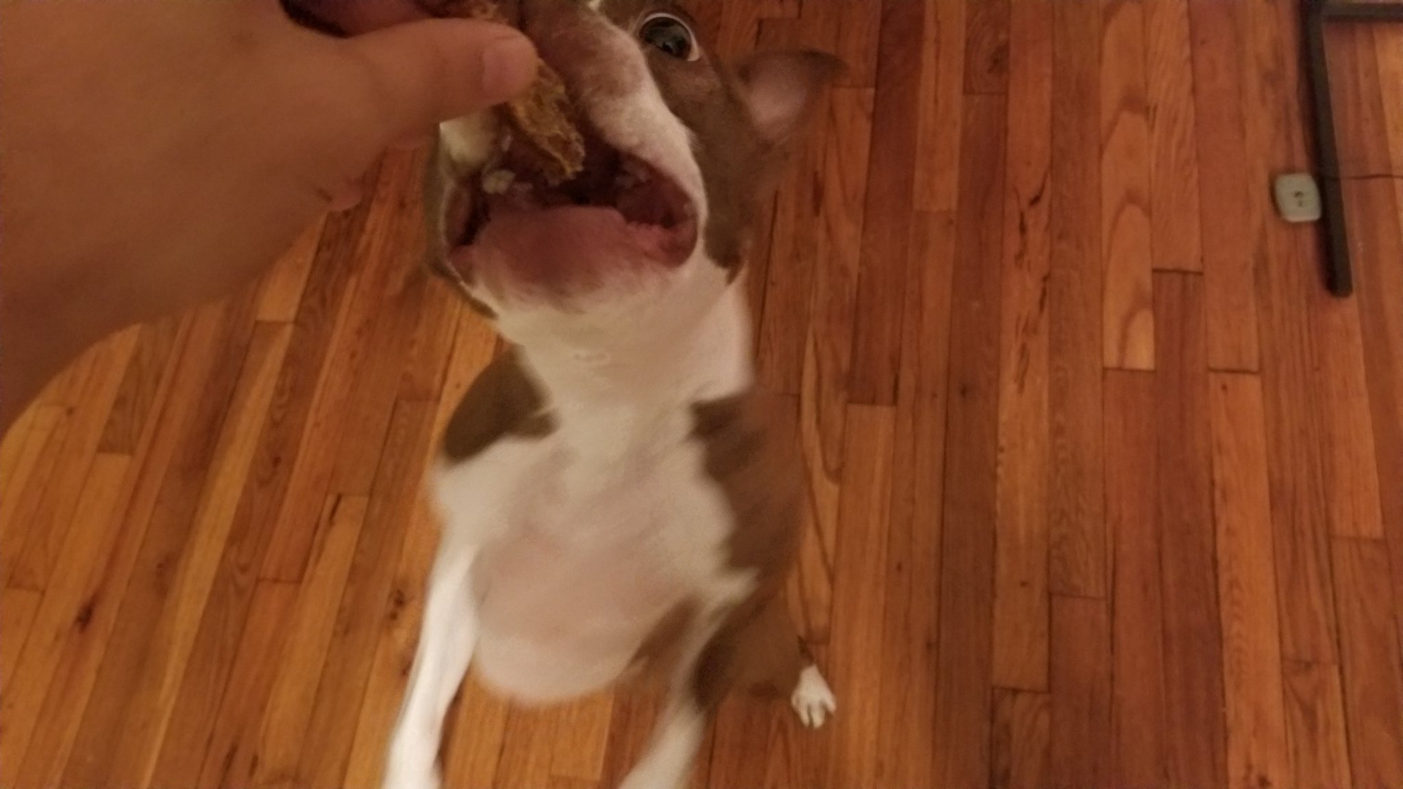 Todd in the Shadows on Twitter "NOMMMM…