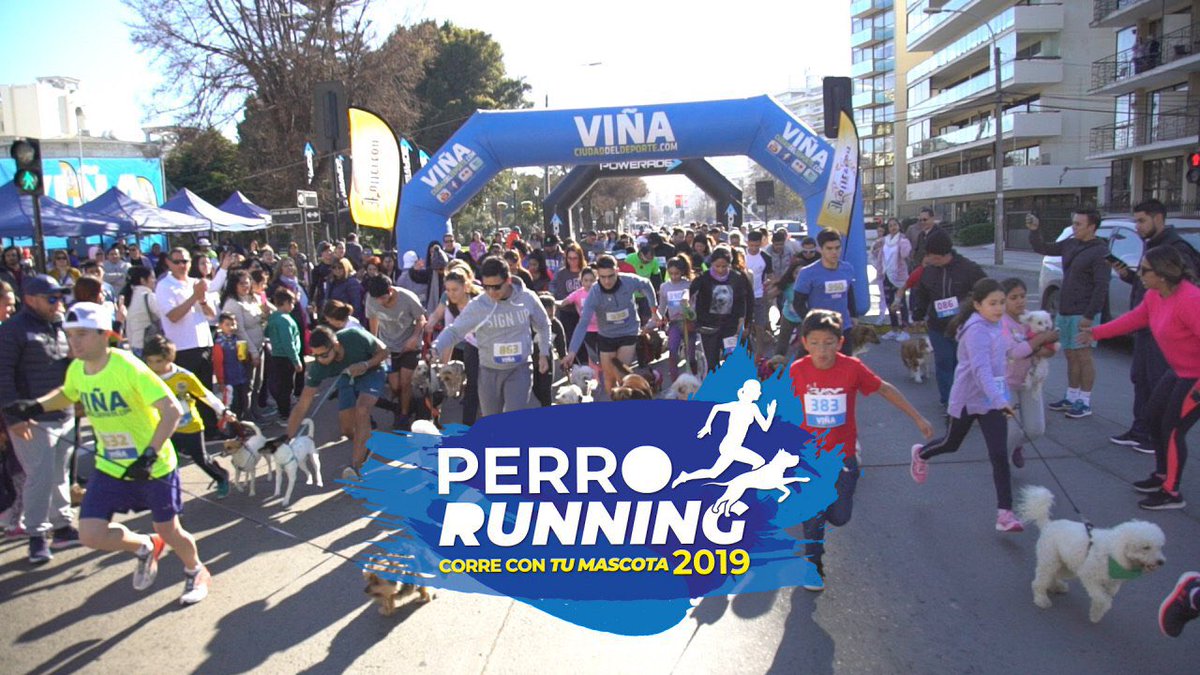 javieraravena10's tweet photo. 🐶Disfruta del video resumen de la 3ª fecha de Perrorunning 2019, realizada el pasado domingo 11 de agosto en Viña, la Ciudad del Deporte.
https://t.co/40CEtfyYPO
#ViveViña #ViñaCiudadDelDeporte #Perrorunning #ViñaDelMar https://t.co/1FFfTgBAWl