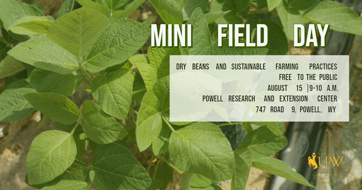 Thanks for the mention! PeckAgEc: Join the University of Wyoming's #Powell R&amp;E Center for a mini field-day on Dry Beans and Sustainable Farming Practices -- Thursday, Aug 15th, 9-10am. #drybeans WyAgResearch