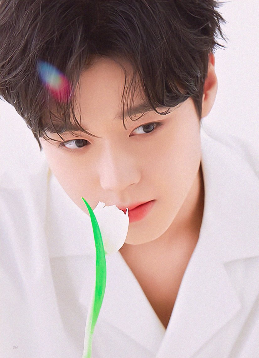oflemontree's tweet photo. 아무래도 이거인듯 https://t.co/TvcqVYwrhR