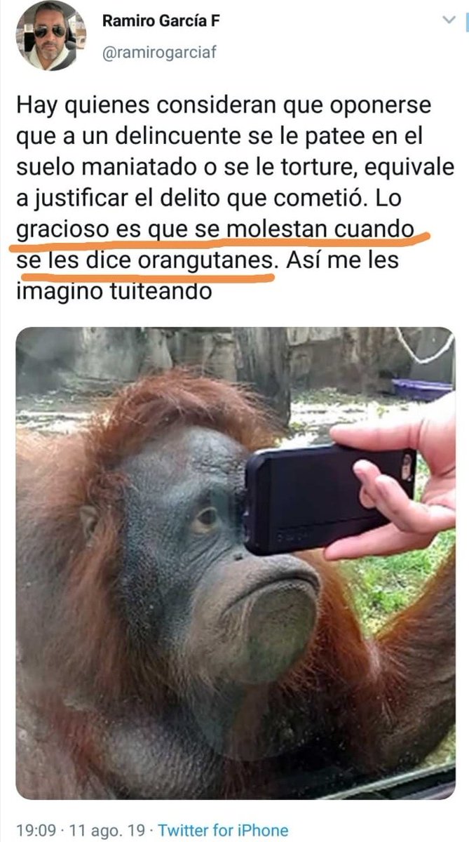 Steamgosth's tweet photo. En un mundo paralelo:

El "orangután" y presunto abogado .@ramirogarciaf EXIGE a @PoliciaEcuador una investigación urgente sobre las acusaciones a los pobres sicarios

Desde la comodidad de su hogar el muy presidente de la Federación Nacional de Abogados y pseudo defensor de DDHH https://t.co/x9Ll9WdpUj