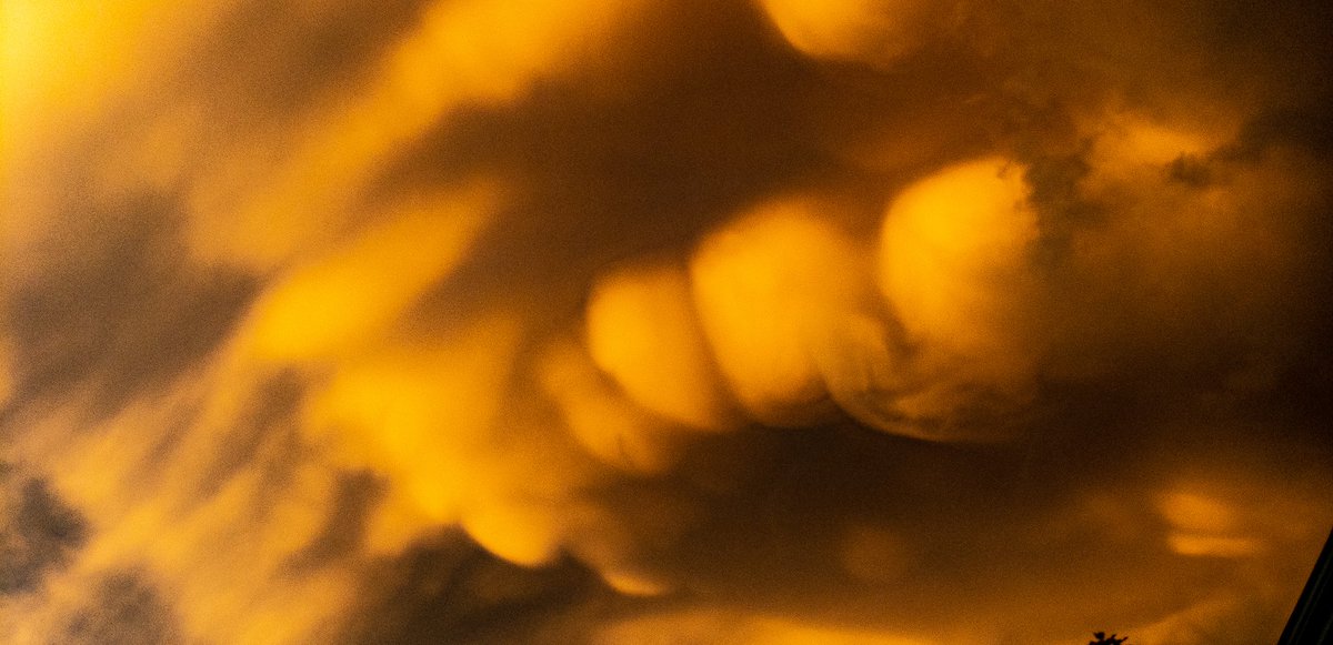 Smarquantte's tweet image. #cowx