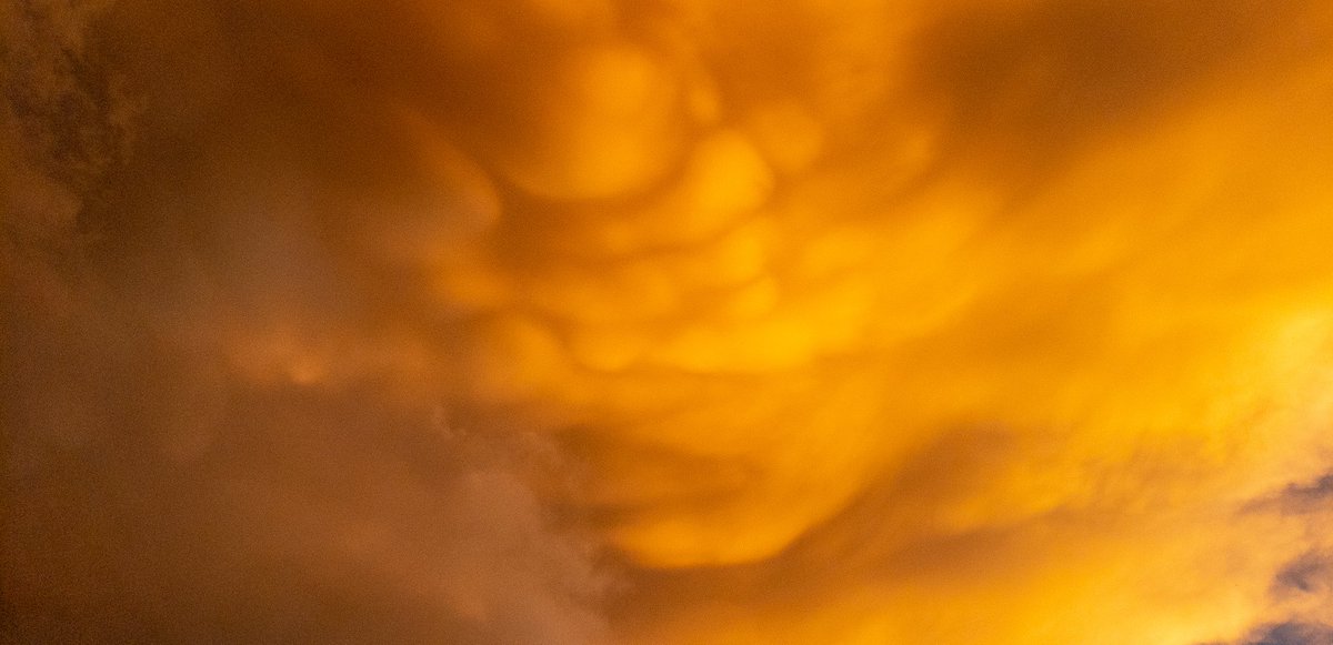 Smarquantte's tweet image. #cowx