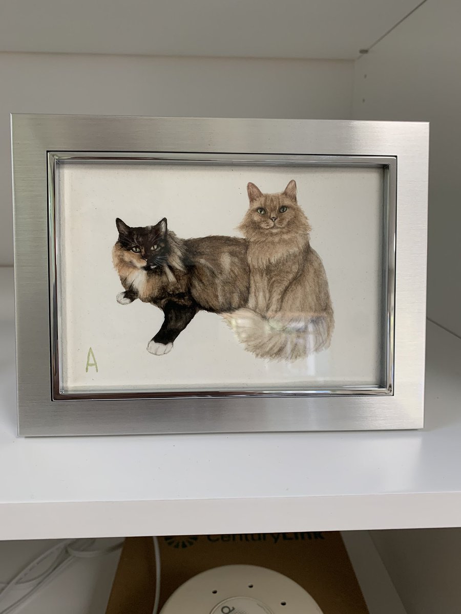Squatchdrew's tweet photo. Happy belated international cat day. https://t.co/Ilr5Y7XrTG
