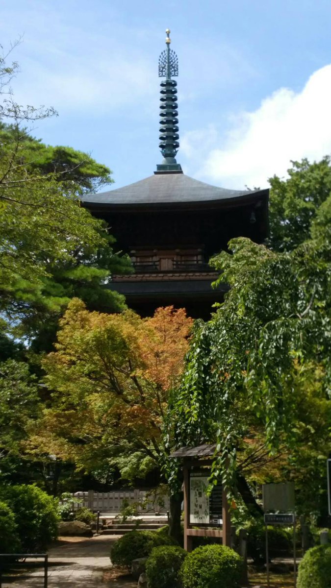 台風の合間を縫って豪徳寺へ！
招き猫発祥のお寺です。

#猫 #占い #開運 #金運 #巳巳