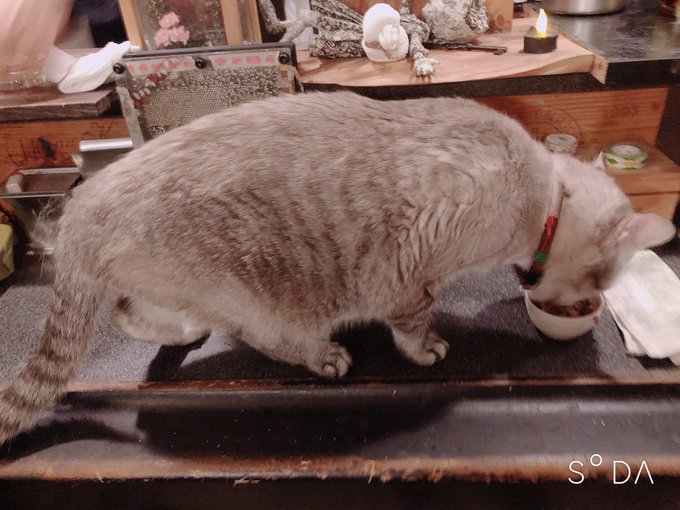 Twitterのコスプレ画像5