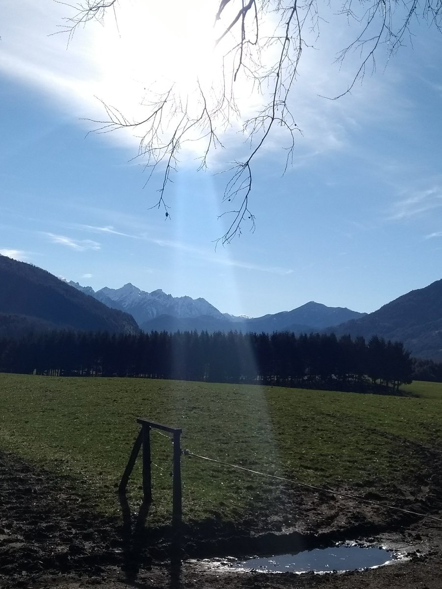 ClauCidAstroza's tweet photo. Volviendo a casa en la mañana, con un café y Sting de fondo. De fondo "las monjas" . Camino a Huife, Pucón. https://t.co/VPd7EdkktU