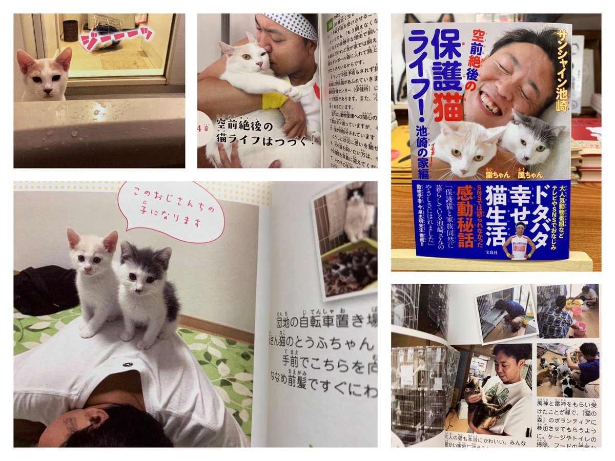 空前絶後の保護猫ライフ 空前絶後の保護猫ライフ