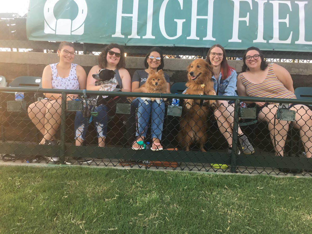 Katelyn_Rowe_'s tweet photo. Took a break from Twitter for ~mental health~ but I went to Bark at the Park tonight so here are some of the good good dogs I saw https://t.co/cJ72sscdkk