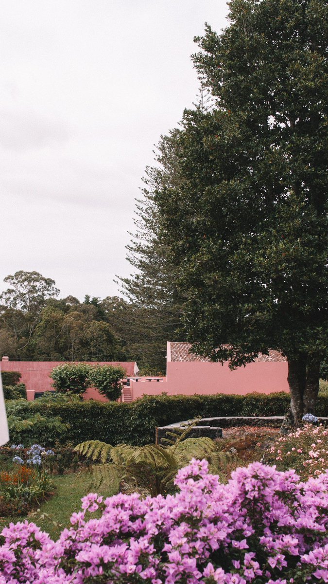 ConveyTheTravel's tweet photo. Let me introduce to you; Pink House Azores. A home away from home. 🍑🌿 https://t.co/PSTdyrDSh5 https://t.co/Uuxncjp8aT