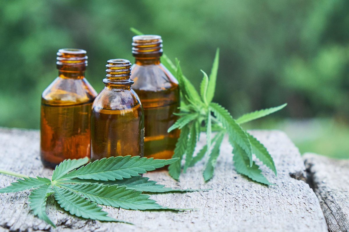 Flourish_NV's tweet photo. Cannabis comes in many forms for many different needs, it all depends on what is right for you. Start low &amp; slow for the best experience and work your way up 🌱 https://t.co/jWD5qEvJdY