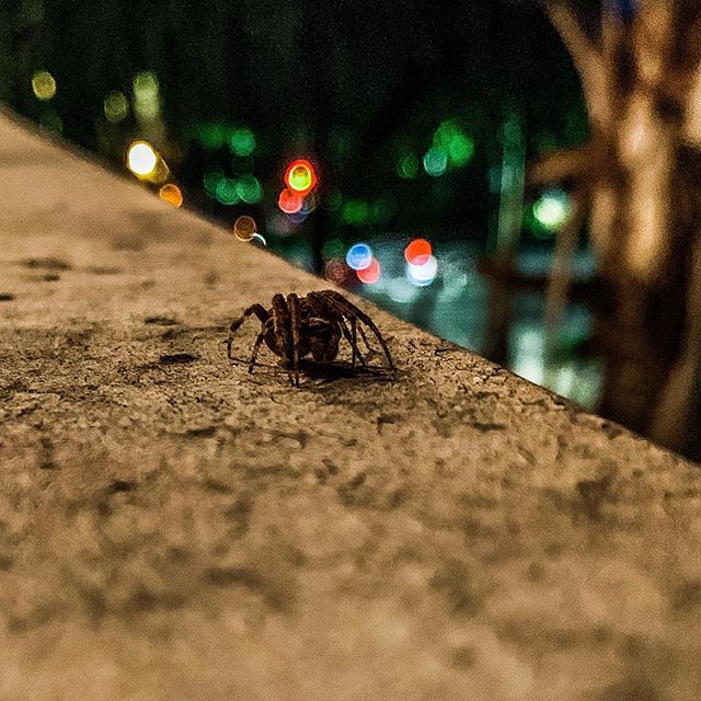 JoeyBybee's tweet photo. BFS #shotoniphone https://t.co/4Hyjk4TNiY