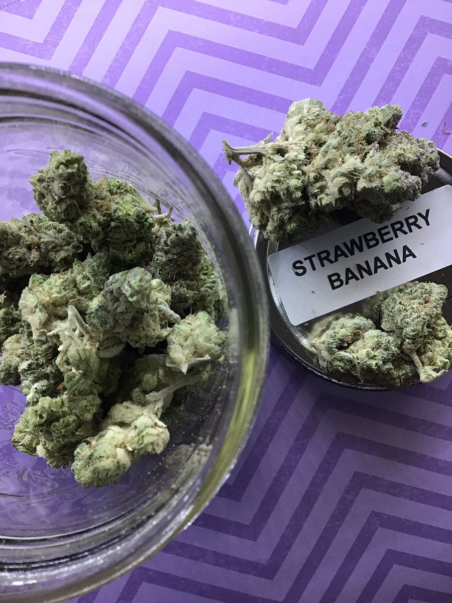ThePotBarn420's tweet photo. Introducing one of our favorite hybrids, Strawberry Banana. With a sweet fruity flavor that earned this hybrid her name. Known for its heavy resin production and high THC content, Strawberry Banana produces happy, peaceful effects that sharpen creativity and sensory awareness. https://t.co/h4Pgcl2C2a