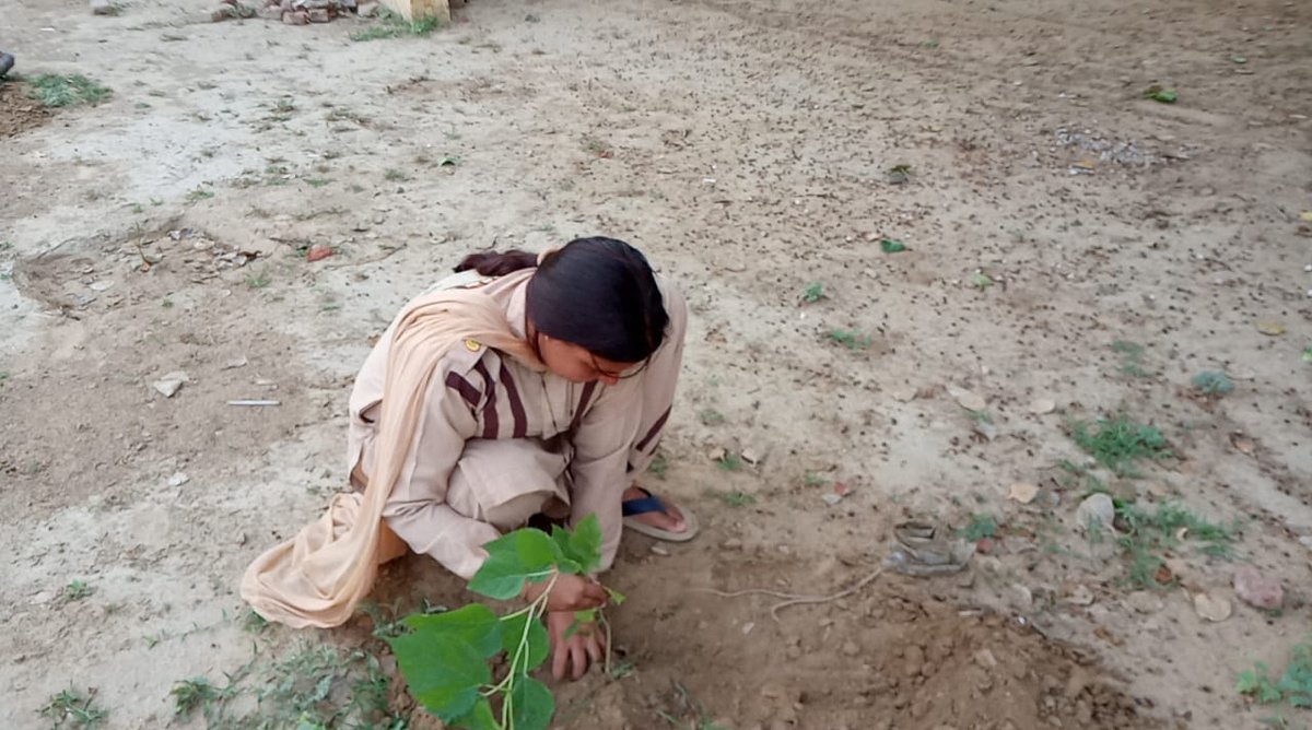 Sunit35249488's tweet photo. we should #JoinHandsForTreePlantation and save earth https://t.co/iJ0XjzntGO