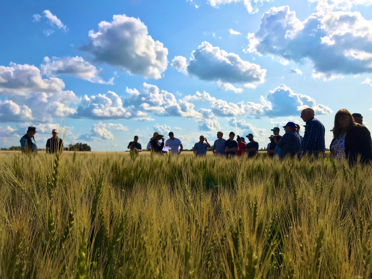 Nothing but big blue skies out in the field today with <a href="/SVFltd/">Sturgeon Valley Fertilizers Ltd.</a>  ☀️ Always great to hear from <a href="/SheriStrydhorst/">Sheri Strydhorst</a>