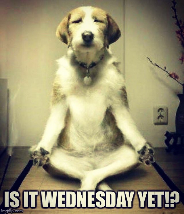 BOKprint's tweet photo. Although I haven’t slept a wink I’d still like to wish you all a good morning. I hope you succeed in all of your daily goals and pick up some Wednesday wisdom #hello #goodmorning #meditate #relax #breath #stretch #yogalife #bokprint https://t.co/CIp9T0rriu