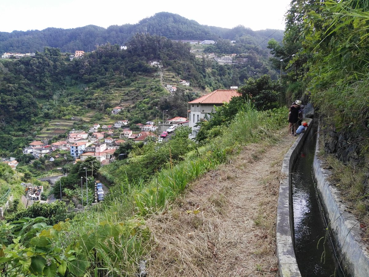 Holidays and soundscape collection at lovely Madeira