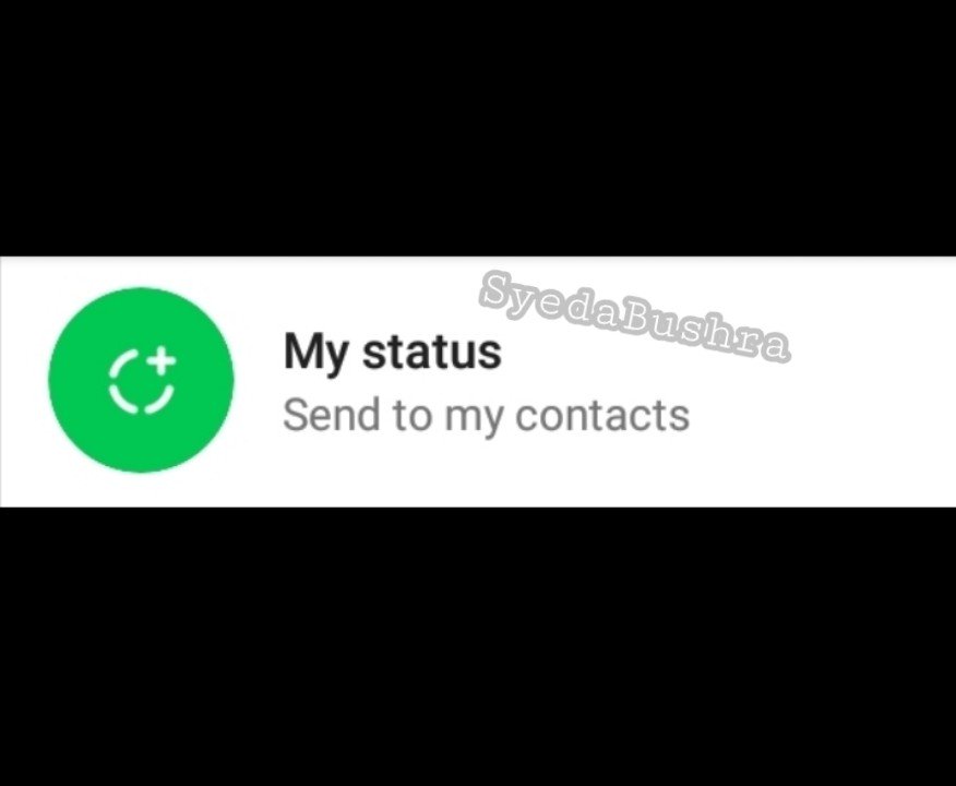 LoverSyeda's tweet photo. Thankyou WhatsApp For Celebrating Independence Day With Us😂😂😍🇵🇰 https://t.co/uV4qjWIWh7