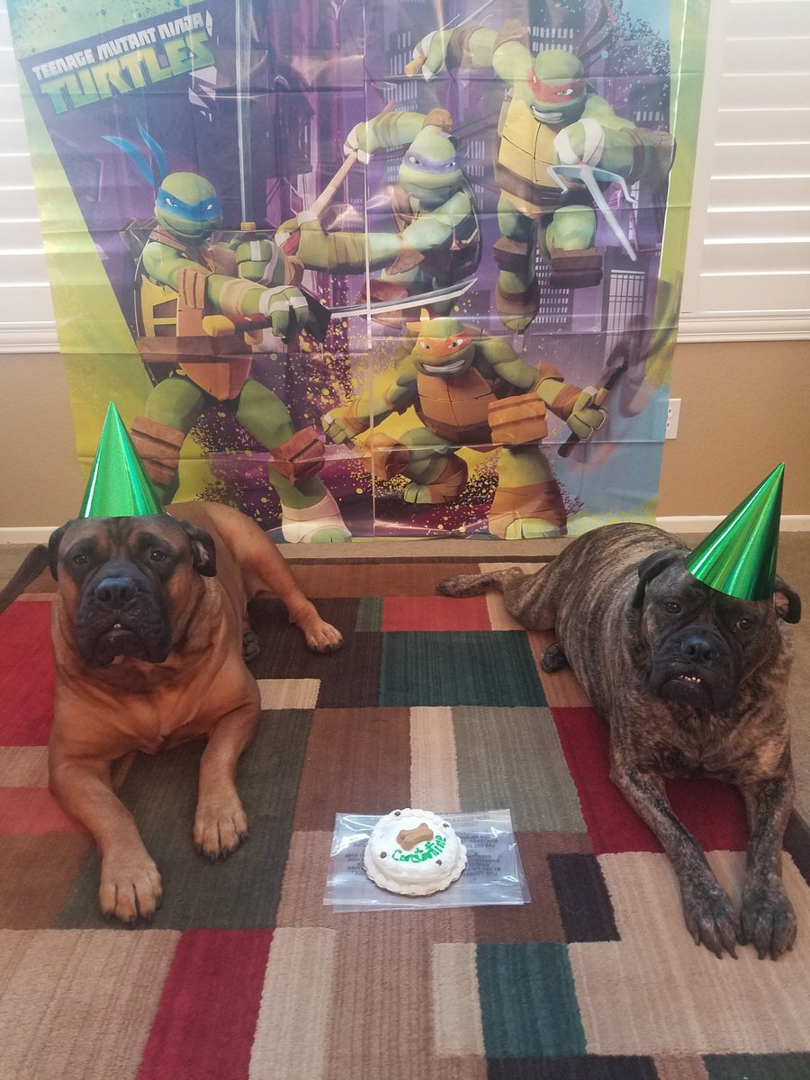 SeamonkeyzRule's tweet photo. #ThingsImPlanning my dog's birthday party https://t.co/nytW1tvJ6Z