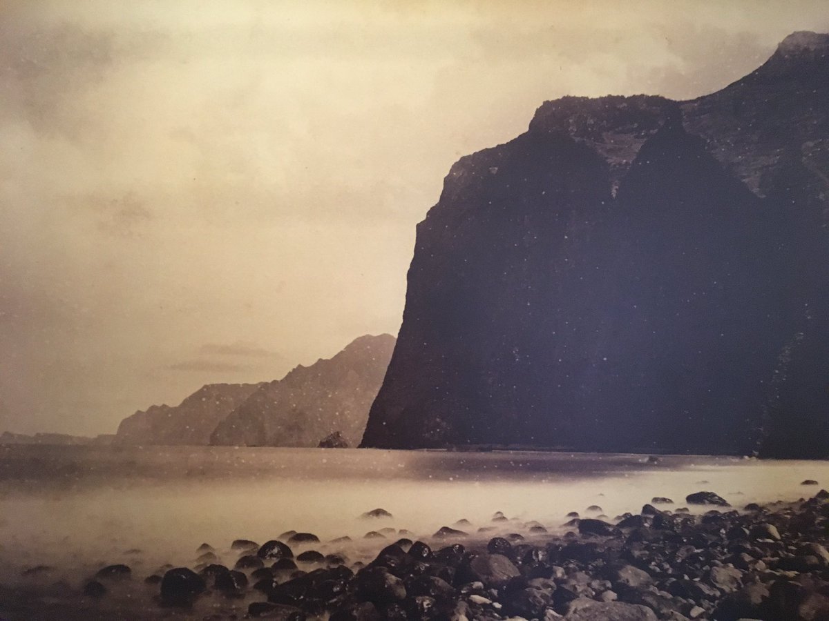 Lenandrade (@lenandrade5) on Twitter photo 