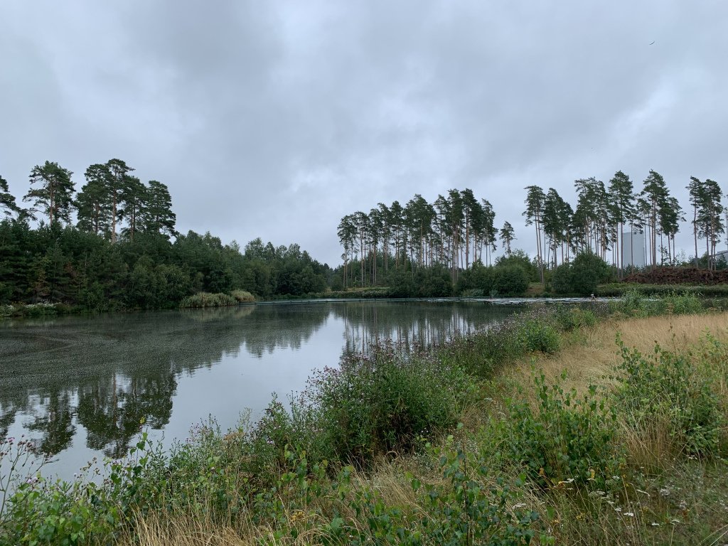 DSBaltic's tweet photo. 2019 Week 3 – By the Coast https://t.co/vWdBiBZjpi https://t.co/JvfGQFlS40