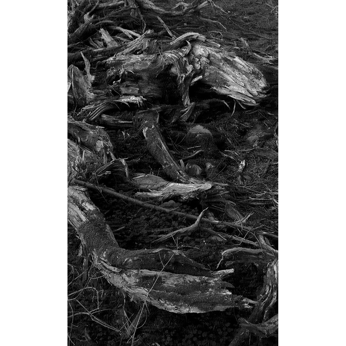 Soft_Error's tweet photo. Hoan Kiem Chess Team's new cassette album 'Paskal's Dream' is out today on #SoftError. #HoanKiemChessTeam is an artist and electronic sound designer based in Isaan, North East Thailand.
https://t.co/fwiq0FQbJ5 
#Thailand #cassette #cassetteCulture #tapeLabel  #electroAcoustic https://t.co/iLtRp9creX