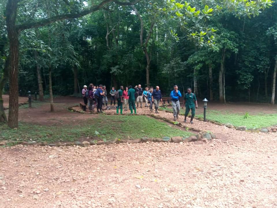 Uganda_Lodges's tweet photo. Busy morning at #BudongoEcoLodge...
📸: Paula Sibo and Eric Obuki - #TeamULL
#ChimpanzeeTracking #ChimpanzeeHanituation #Birding #ForwstWalks #BudongoForest #SoGreen #SoLush #WorthTheStop 🥰
Karibuni 🤗 https://t.co/LVrhZQPgug