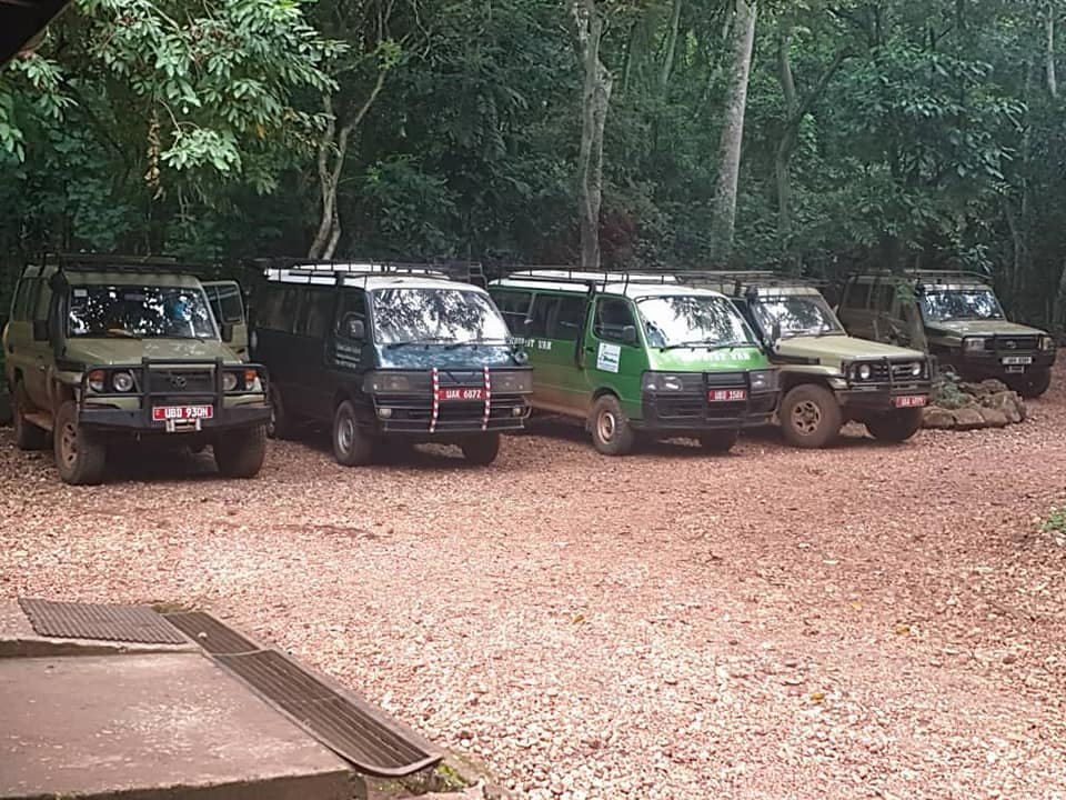 Uganda_Lodges's tweet photo. Busy morning at #BudongoEcoLodge...
📸: Paula Sibo and Eric Obuki - #TeamULL
#ChimpanzeeTracking #ChimpanzeeHanituation #Birding #ForwstWalks #BudongoForest #SoGreen #SoLush #WorthTheStop 🥰
Karibuni 🤗 https://t.co/LVrhZQPgug
