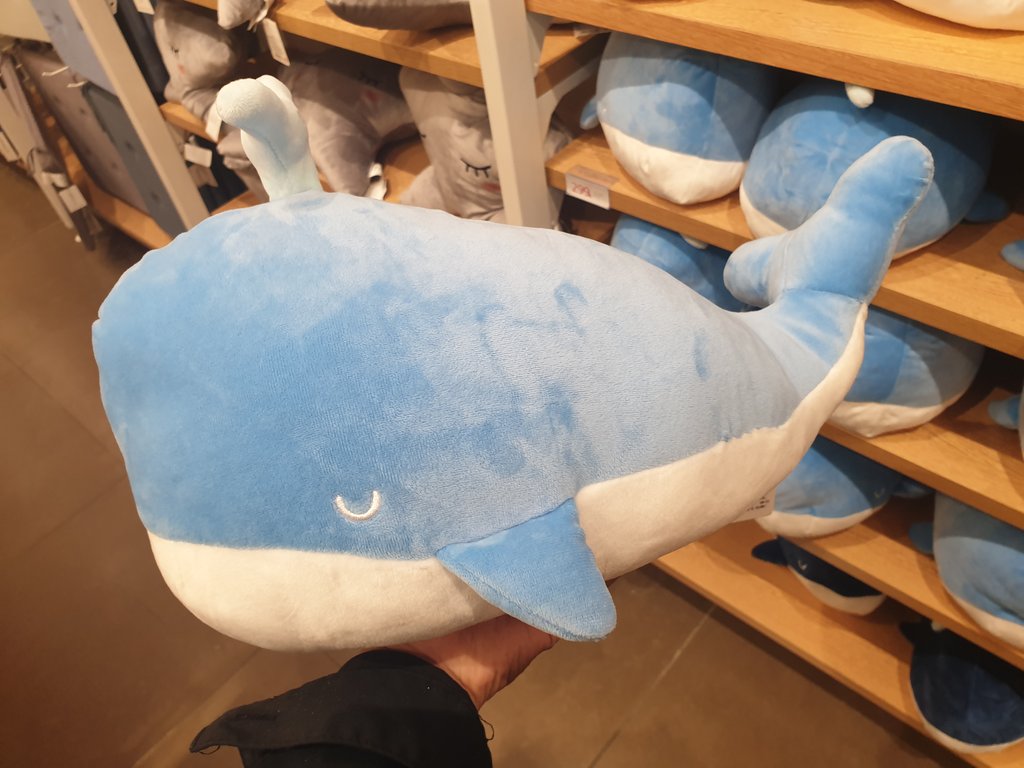 swiftjinnie's tweet photo. Should I buy one to take with me on the plane next week? https://t.co/cjjvTBZv4D