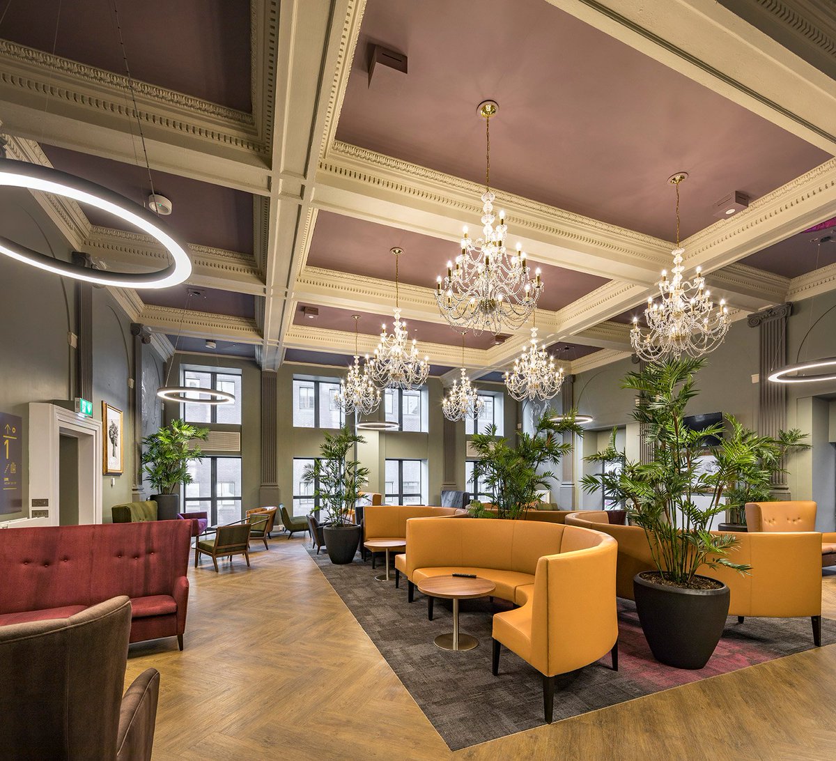 collegiate_uk's tweet photo. Don't forget, our open days are happening THIS Thursday, Friday AND Saturday! Pop in and see us at #PlummerHouse for a tour and a chat, our friendly site team will be at hand to answer all your questions!β¨π―
Need to contact us before you arrive? Give us a call on 0914 841 287 https://t.co/HINJ2toC7N