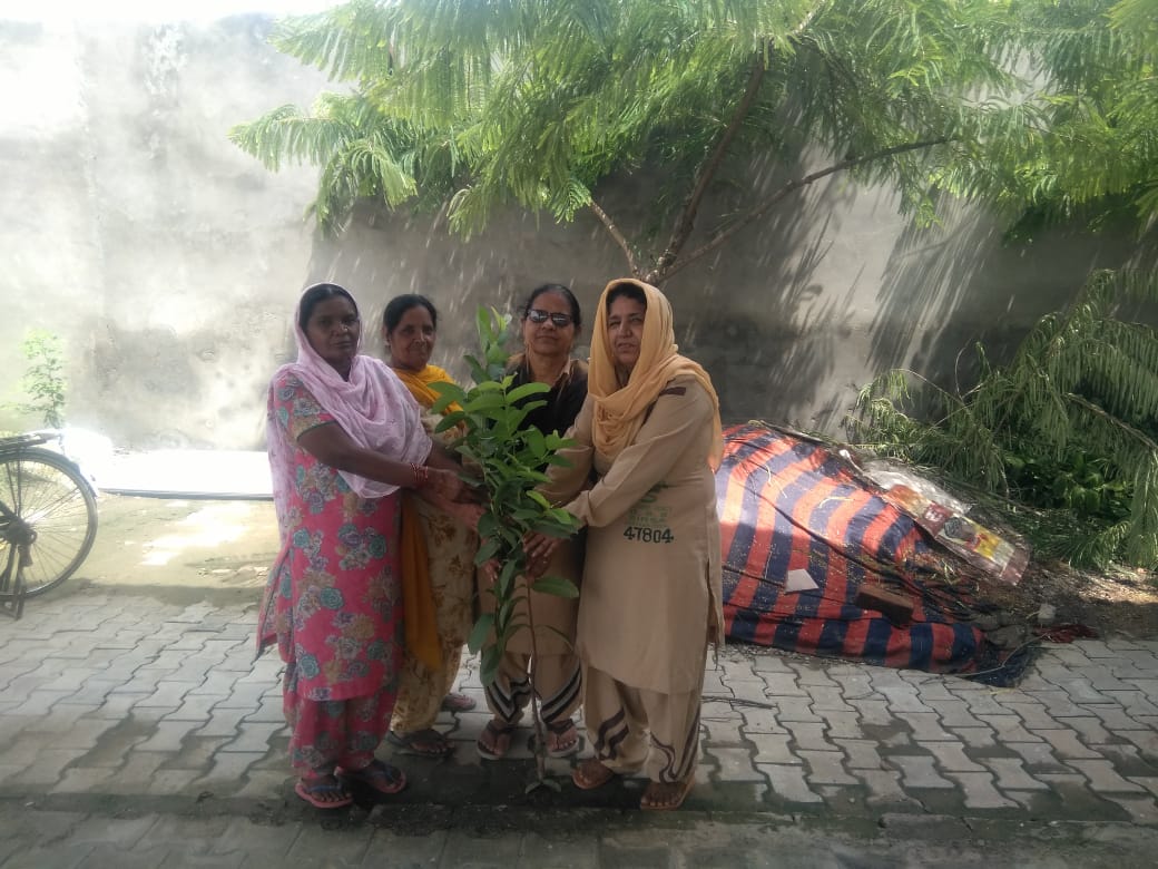 khurana7654's tweet photo. #SelfieWithTree
Mega Tree Plantation
@derasachasauda 
@Gurmeetramrahim ji insa https://t.co/NI76rbv0Xg