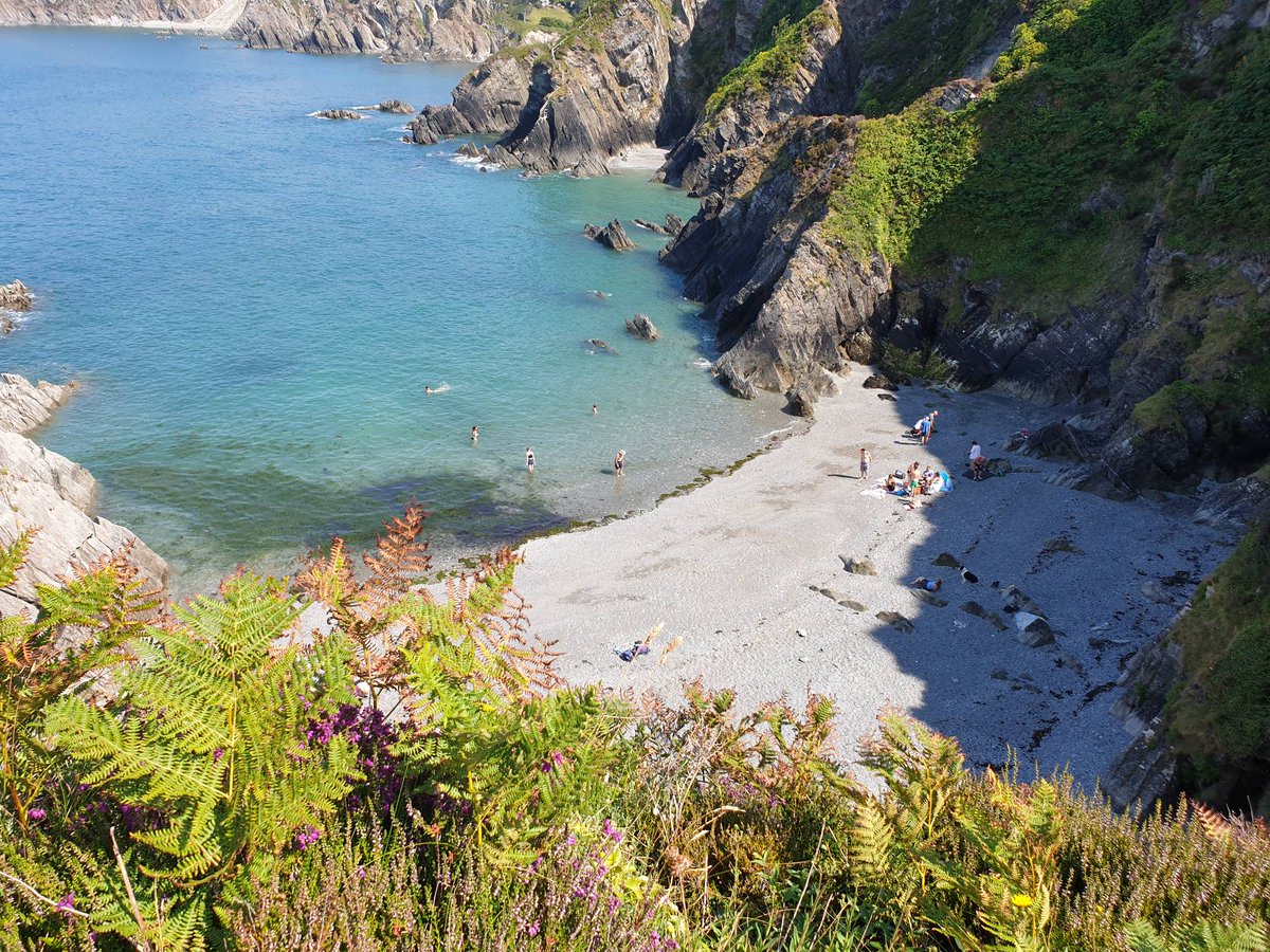 Studio 5 tweet media