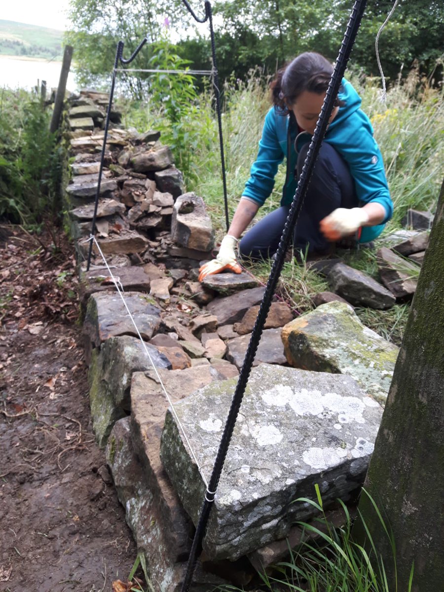 SheffieldLakes's tweet photo. The SLLP team have been out dry stone walling this week- fancy giving it a go? Weโd love some volunteers to come out with us! #SheffLakes #wildsheffield https://t.co/CQebwM2r4G