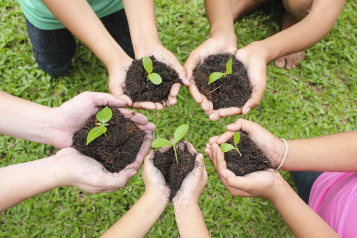 Plant as more trees as you can
#PlantATreeGetOxygenFree 
It is the best gift for @Gurmeetramrahim ji, on his birthday
#SelfieWithTree