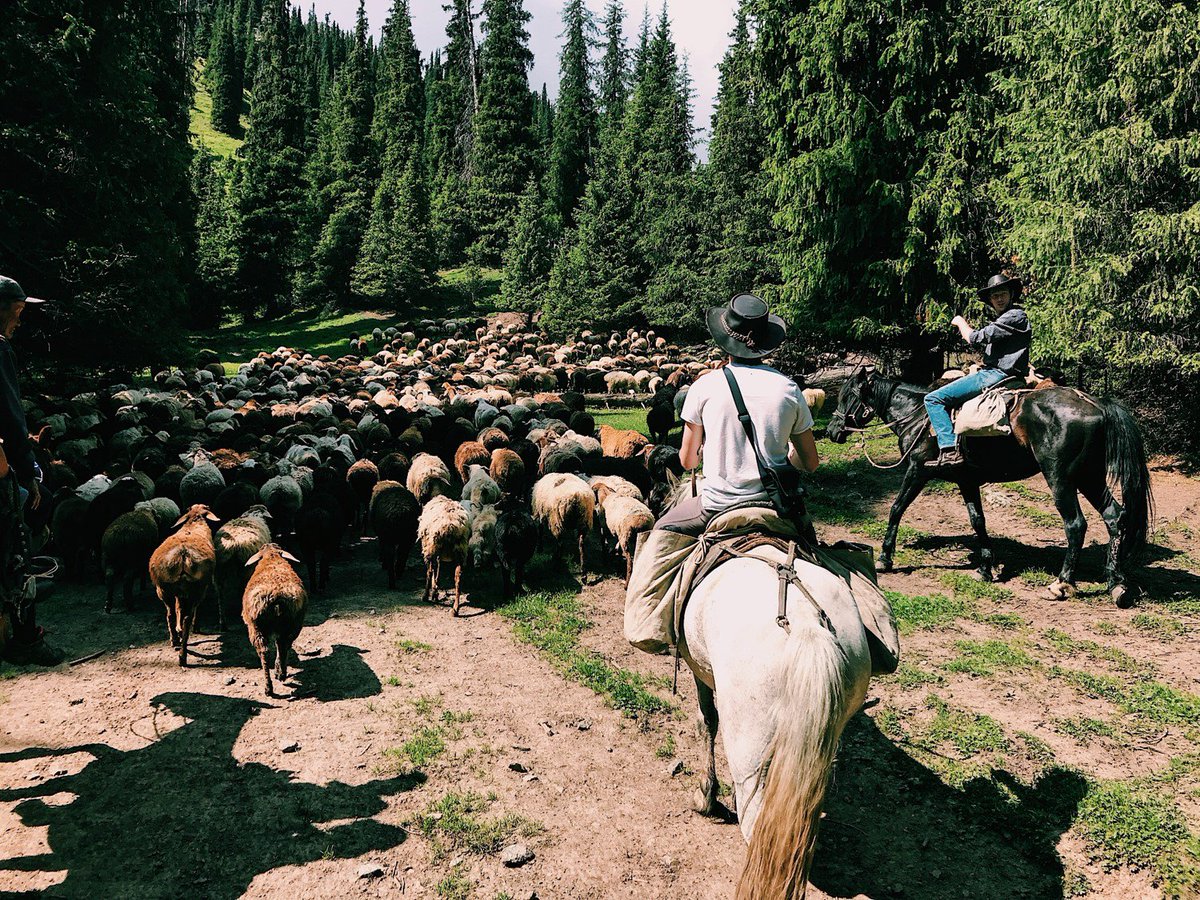 CapgeminiBE's tweet photo. What were our colleagues up to during their holidays? Francois Defeche teamed up with 3 other colleagues to explore Kyrgyzstan, cowboy style. Read his story: https://t.co/S4u1jCVprd #AmazingCapgemini #FunIsOneOfOurValues https://t.co/yb4SVCOavO