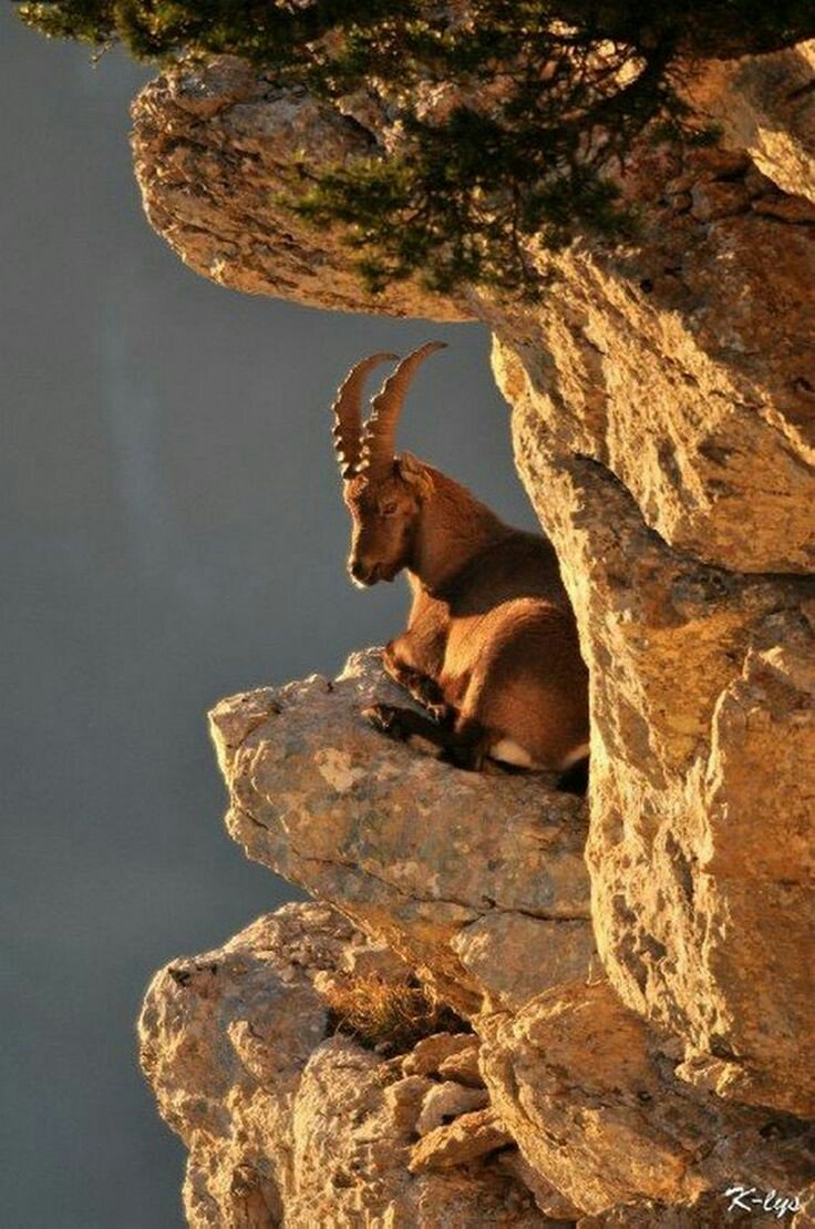 HaiydiB's tweet photo. https://t.co/vWOD5QzIkQ