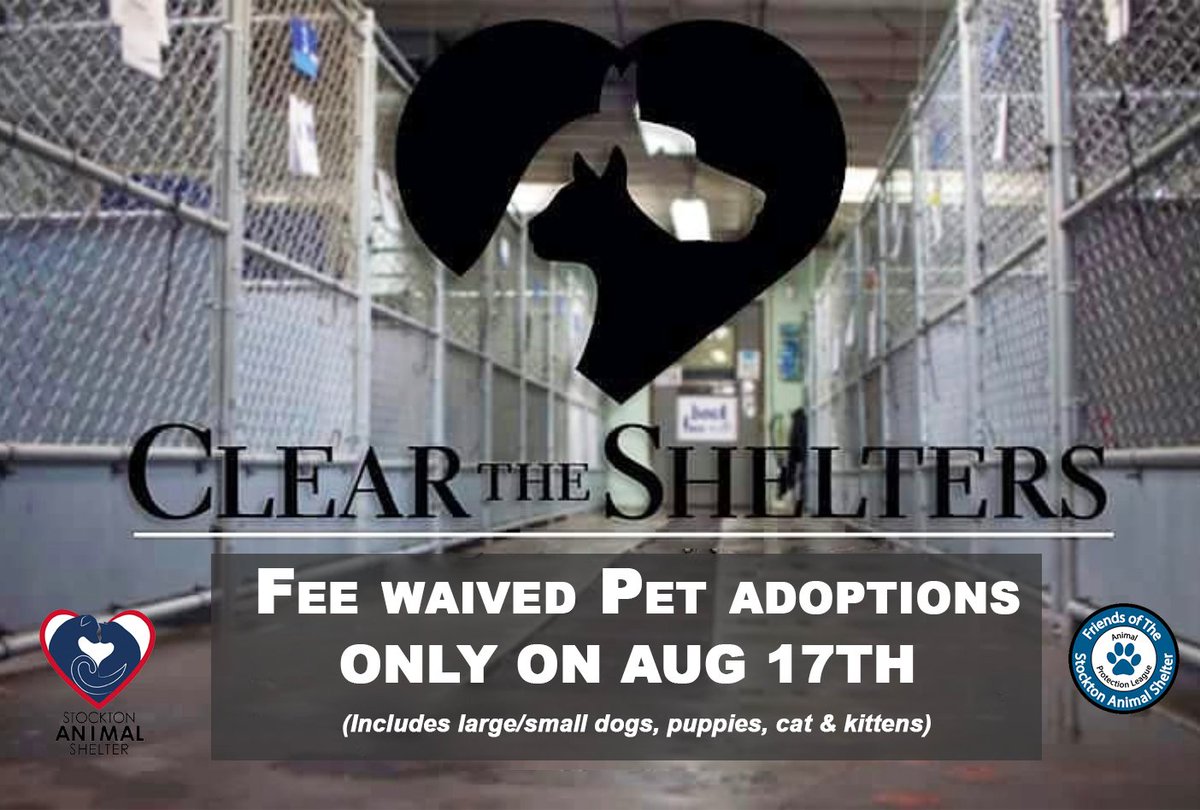 SasShelter's tweet photo. CLEAR THE SHELTER adoption event happening ONLY ON SATURDAY, AUG 17th at all adoption locations! Come out and find your forever furry friend!
#AdoptDontShop #TogetherWeMakeADifference #FindYourForeverFriend #ClearTheShelters https://t.co/hSmkYhBCkN