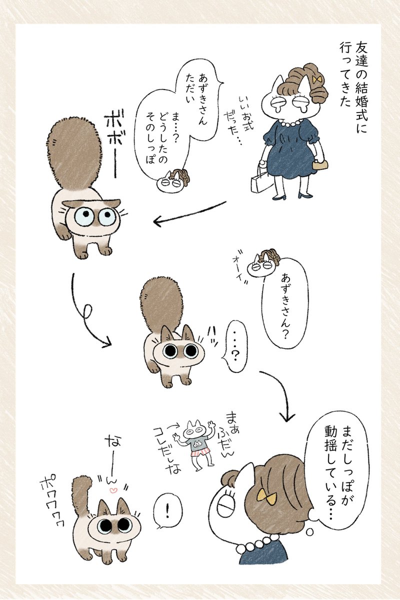 びっくりするよね #ねこ日記 