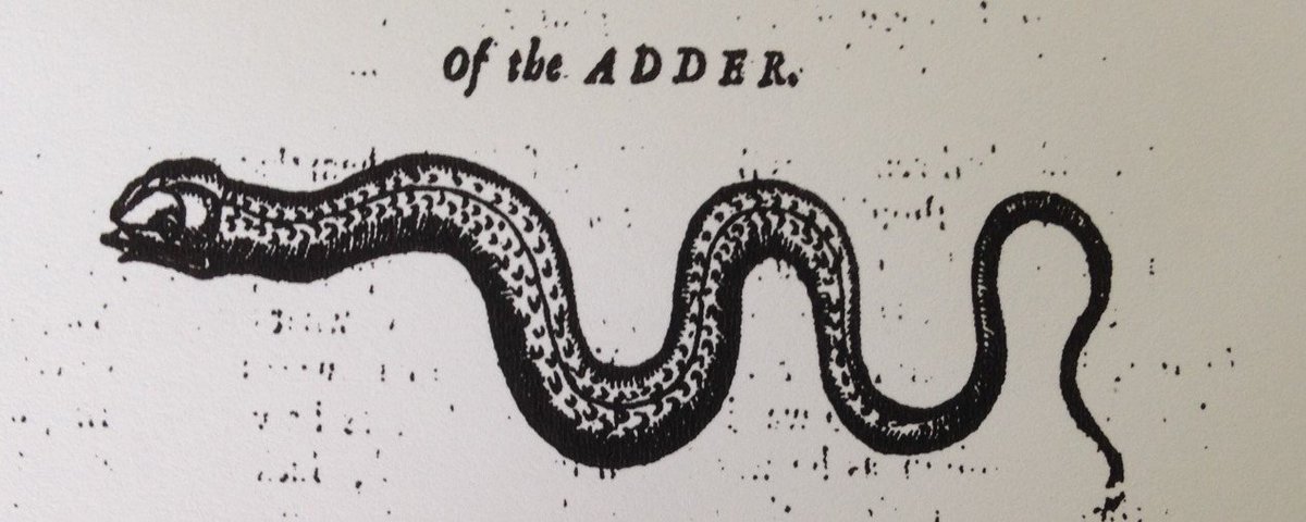JanMooreMrsCox's tweet photo. Mary Dudson of #Southwark was found in a 'Dead-sleep' on the grass. She vomited fourteen young adders, and one old, on 14 August 1664. Beware sleeping in the garden for an #Adder might enter your body. 
#17thCentury

© Beinecke Rare Book and Manuscript Library, Yale University https://t.co/WKU8WXokYg