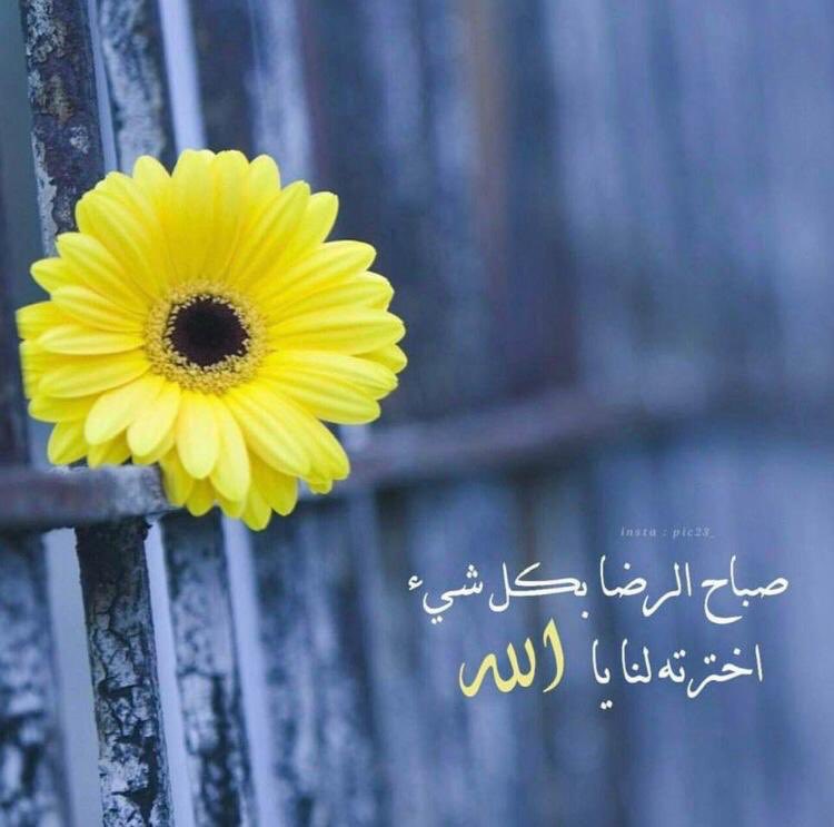 فليكن قلبك 💜قلب مؤمن 
إن عصا الله تألم 💜

صباحكم رضا من الله 💜