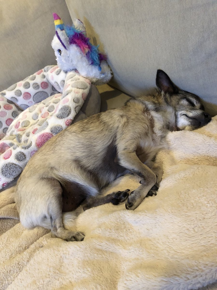 Always falling asleep at the good parts.