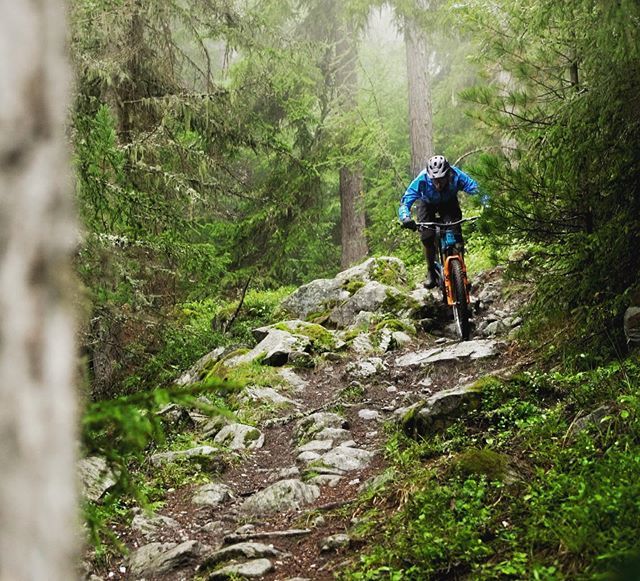 2radwanderer's tweet photo. Slippery or awesome when wet? #TheWreckoning doesn’t mind. 🤙
...
#stopflowtrails #noebikeneeded #mountainbike #freeride #mtb #singletrail #outdoor #mtblife #enduromtb #plantbasedathlete #vegan #MountainBiking #mtblove #instamtb #lifebehindbars #mtbswitzerland #enduro #mtbgra… https://t.co/2eQXLjMydT