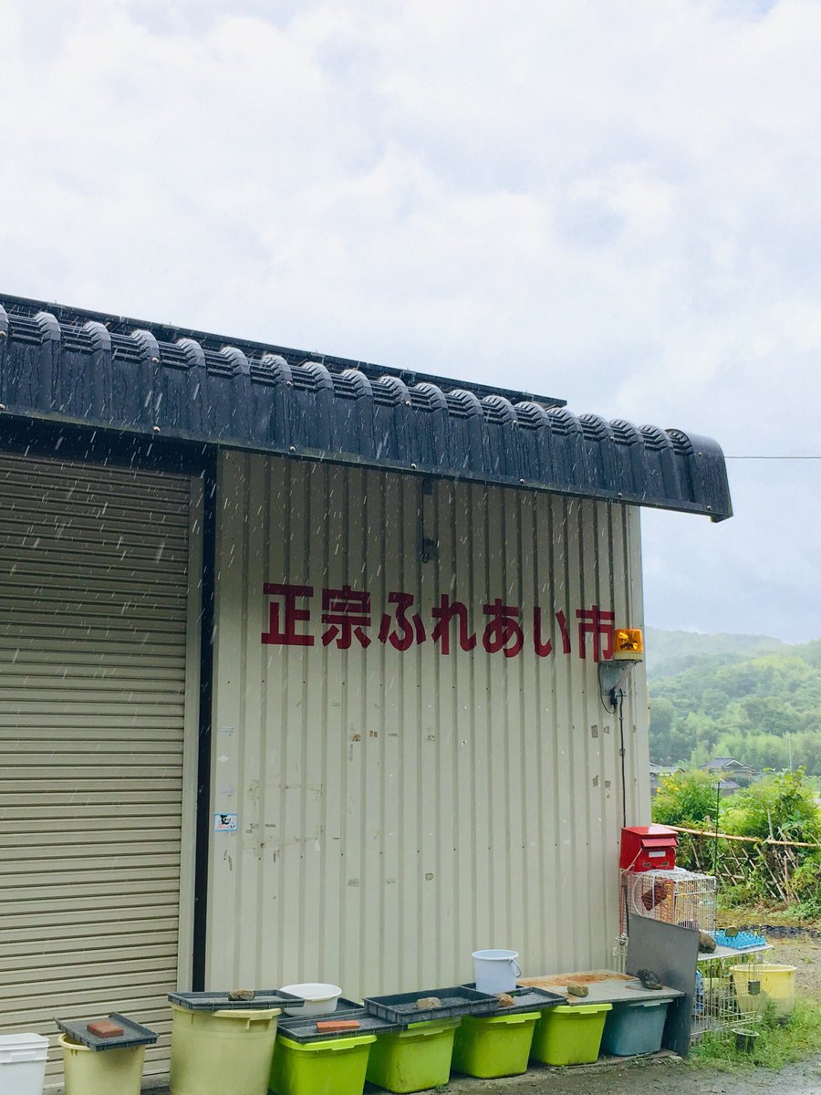 spitz_4602's tweet photo. スピッツ好きさんにおすすめ^_^香川県にあるバス停『正宗』
建っている場所ものどかな雰囲気で好きです。
#スピッツ #草野正宗 #Spitz #草野マサムネ https://t.co/4NAV1X1V0r