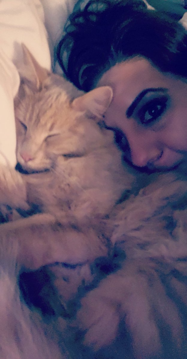 RayMarkAble1's tweet photo. I wanna go to my bed so bad, but he is letting me cuddle! #GinjaNinjaKitty #JonRyan #NotThePunter #TheCat #GoHawks https://t.co/xlpP9zJ2CQ