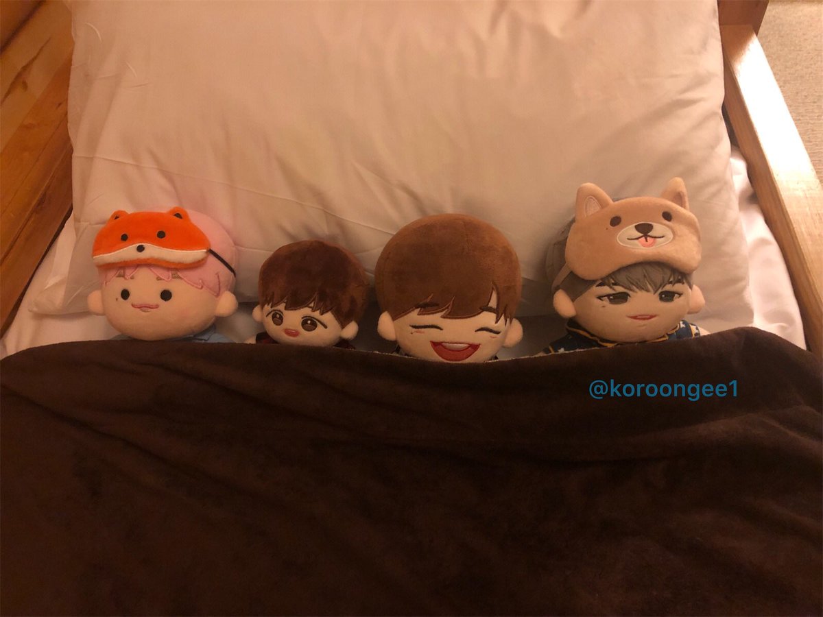 koroongee1's tweet photo. 거의 하루종일 운전하고 결국 잘 도착했습니다 😅 사람이 여행온건지 인형이 여행온건지 ㅋㅋㅋ 아가들도 힘든 하루였으니 잠옷 입고 꿈나라로 😆 굿나잇 🌙
#강다니엘 #강다니엘인형 #허니엘 #녜리츄 #레모니엘 #리모니엘 #베베코룽 #오드플랙 #핑머츄 #여행 https://t.co/Pq1Muhwlvo