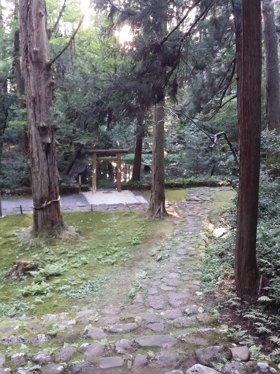 masaseep's tweet photo. 寺参り、良かったよ https://t.co/YvmMLPzjt9